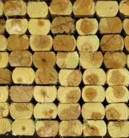 Ugoden les