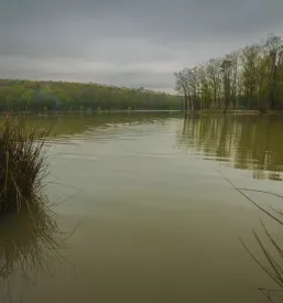Čiščenje odpadne vode Pomurje