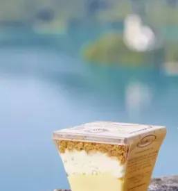 Bleder cremeschnitte bled