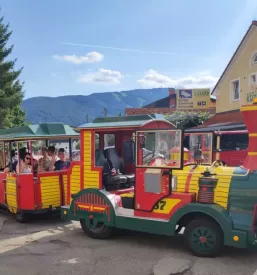 Varstvo otrok maribor
