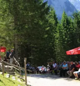 Planinska koca gorenjska