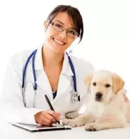 Veterinarska ambulanta Črnomelj