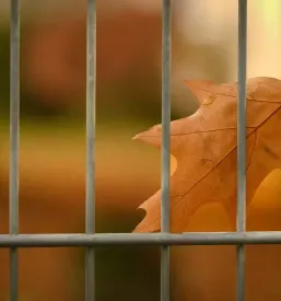 Montaža ograj Osrednja Slovenija