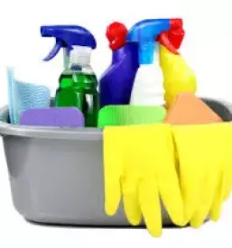 Dober cistilni servis goriska