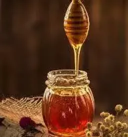 Kvaliteten propolis primorska
