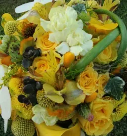 Za hortikulturni marketing smo na voljo cvetličarjem