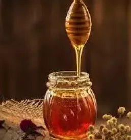 Vrhunski propolis Primorska