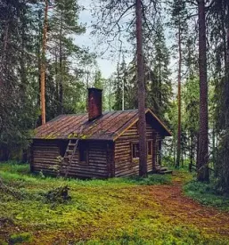Gozdarska dela primorska