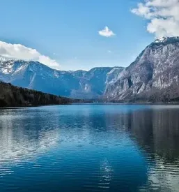 Ugodne nocitve stara fuzina