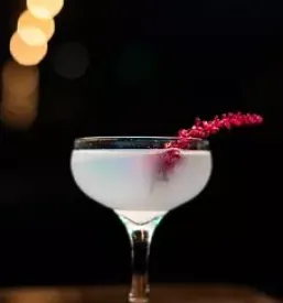 Dober bar pri bobru maribor
