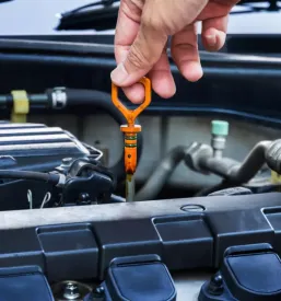 Dober mehanik Vitomarci, Slovenija