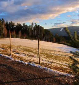 Turistična kmetija selnica ob dravi maribor