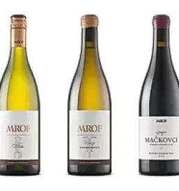 Kakovostna bela vina Prekmurje