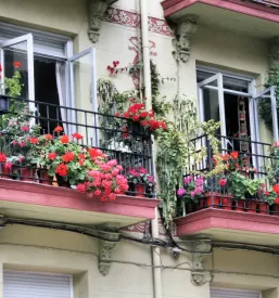 Prodaja cvetja Rogaška Slatina