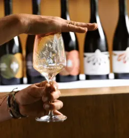 Prodaja kvalitetnih naravnih vin slovenija