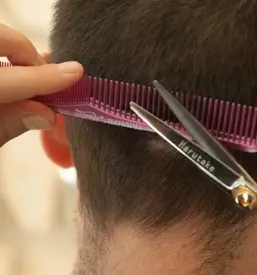 Moško striženje Cerkno, Goriška