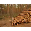 Mihec Firer s.p.