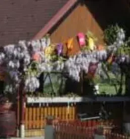 Dobra gostilna pomurje