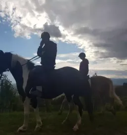 Dobra sola jahanja podravska