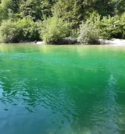 Nočitev z alpskim zajtrkom