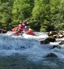 Dober rafting na kolpi