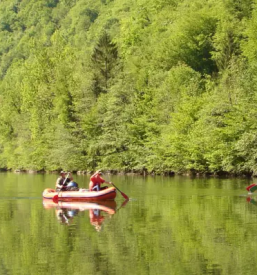 Dober rafting na kolpi