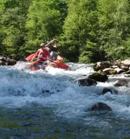 Rafting na Kolpi