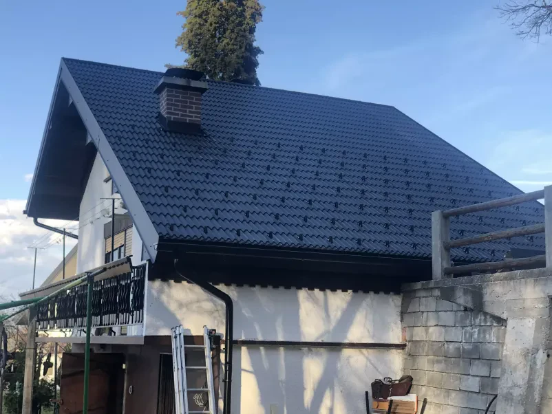 Ugodna menjava strehe Štajerska