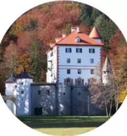 Opazovanje medveda Loška dolina, Slovenija