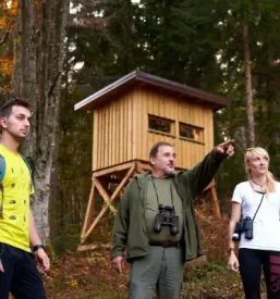 Ogled medveda v naravnem habitatu