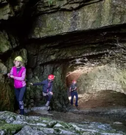 Organizacija turističnih prireditev Loška dolina
