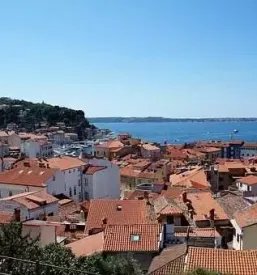 Family apartments for rent piran