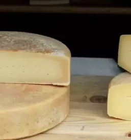 Kvaliteten kozji sir Sežana, Kras