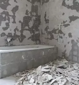 Adaptacije Savinjska