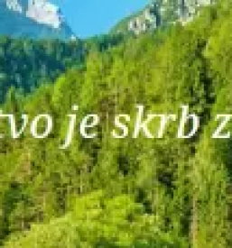 Nevladna organizacija za varovanje okolja slovenija