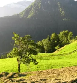 Turistične kmetije Logarska Dolina