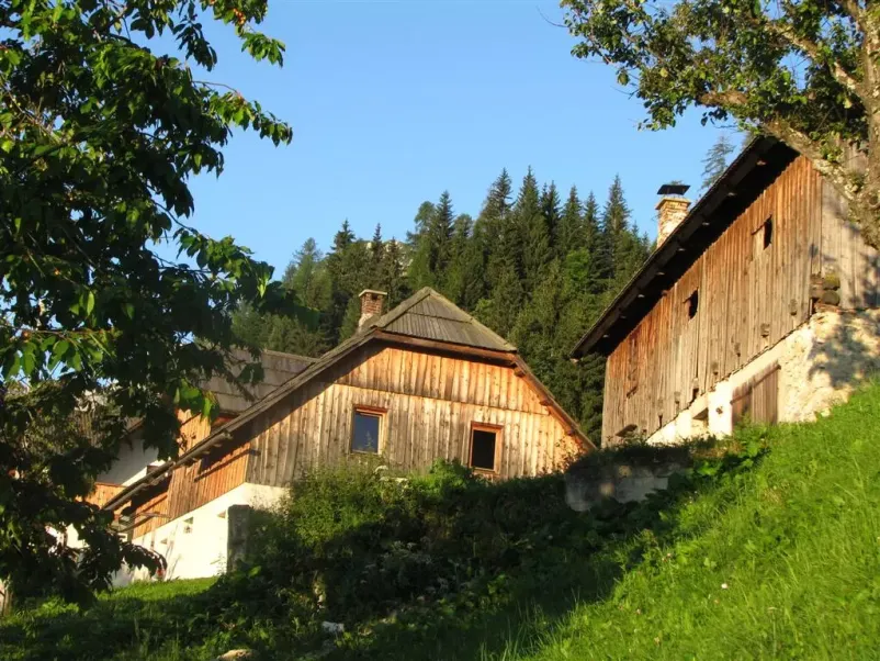 Kmečki turizem Logarska dolina