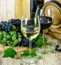 Prodaja kvalitetnega vina maribor