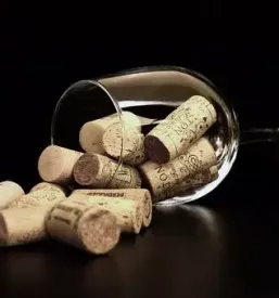 Prodaja kvalitetnega vina maribor