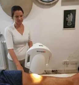Zeliscna masaza gorenjska