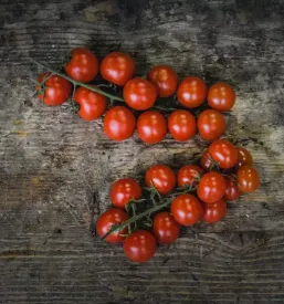 Diskontna prodaja zelenjave Savinjska