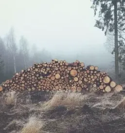 Gozdarske storitve osrednja slovenija
