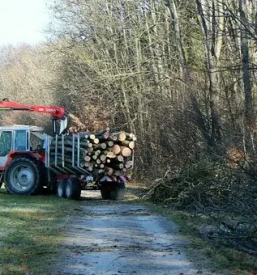 Secnja in spravilo lesa kamnik