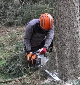 Selitev gozdarske mehanizacije gorenjska