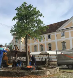 Pogrebne storitve Slovenska Bistrica, Slovenija