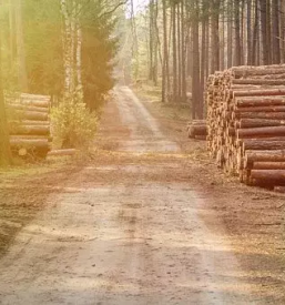 Strojna secnja lesa gorenjska