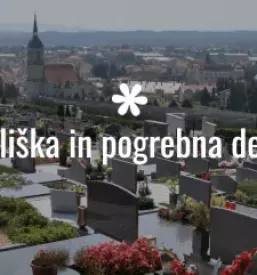 Vzdrževanje cestišč Slovenska Bistrica, Slovenija