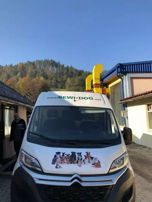 Brezglutenska hrana za pse in mačke Slovenija