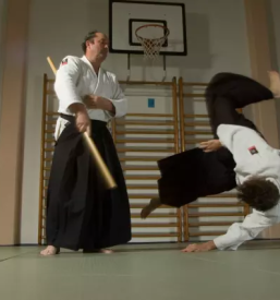 Tecaj ki aikido slovenija