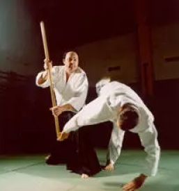 Tecaj ki aikido slovenija